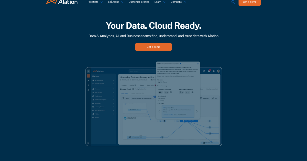 Alation screenshot 1