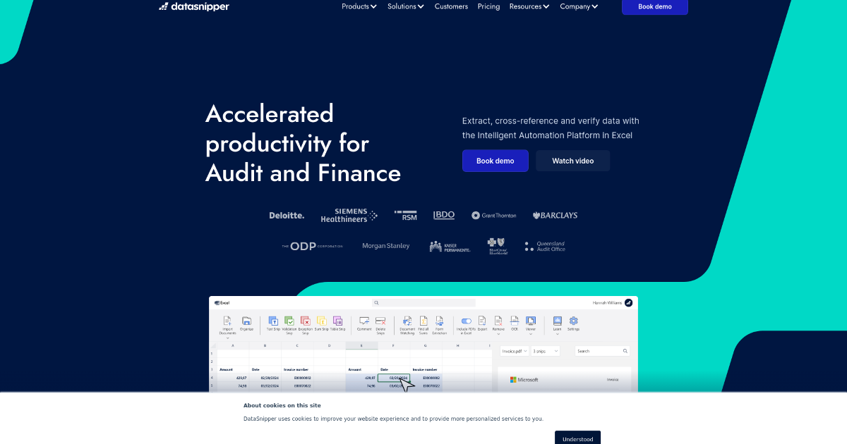 DataSnipper screenshot 1